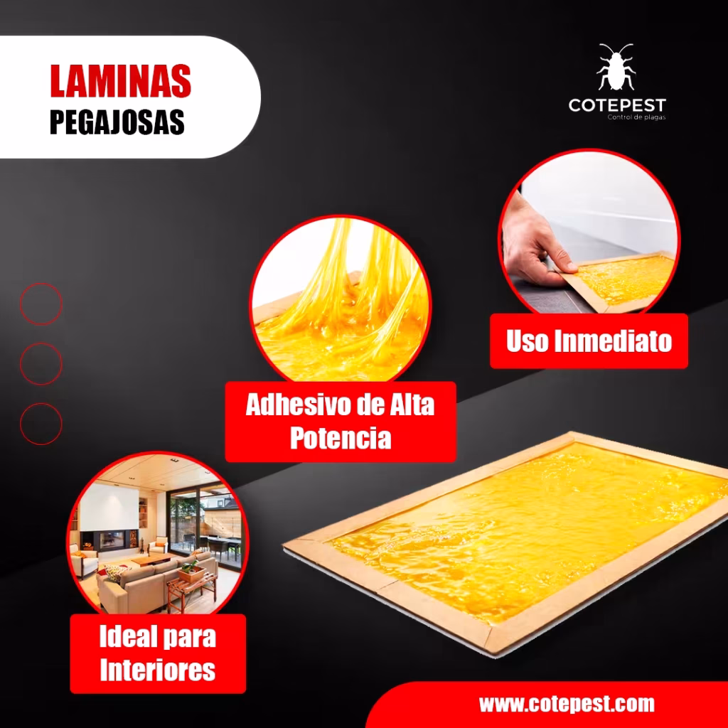Láminas pegajosas profesionales de Cotepest con adhesivo de alta potencia, ideales para el control de insectos en interiores de hogares y negocios en Quito.